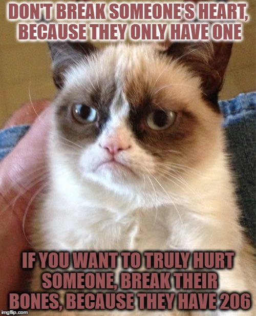 Grumpy Cat Meme | DON'T BREAK SOMEONE'S HEART, BECAUSE THEY ONLY HAVE ONE; IF YOU WANT TO TRULY HURT SOMEONE, BREAK THEIR BONES, BECAUSE THEY HAVE 206 | image tagged in memes,grumpy cat | made w/ Imgflip meme maker
