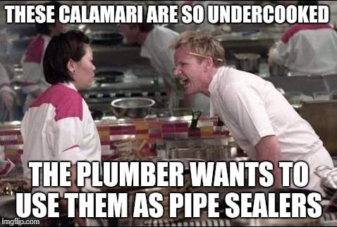 The cook | THESE CALAMARI ARE SO UNDERCOOKED; THE PLUMBER WANTS TO USE THEM AS PIPE SEALERS | image tagged in kitchen,memes | made w/ Imgflip meme maker