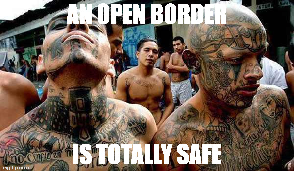 Open Border | AN OPEN BORDER; IS TOTALLY SAFE | image tagged in open borders,donald trump,trump 2016 | made w/ Imgflip meme maker