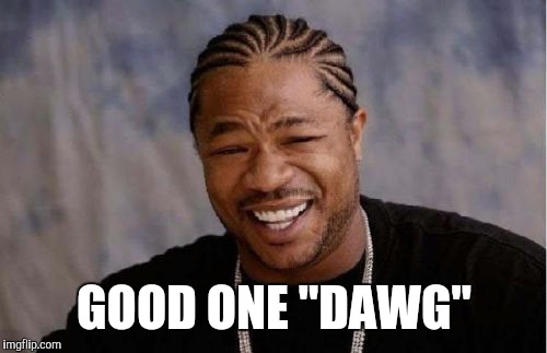 Yo Dawg Heard You Meme | GOOD ONE "DAWG" | image tagged in memes,yo dawg heard you | made w/ Imgflip meme maker