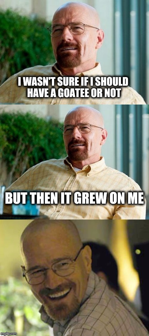Breaking Bad Facial Hair. | I WASN'T SURE IF I SHOULD HAVE A GOATEE OR NOT; BUT THEN IT GREW ON ME | image tagged in breaking bad pun,beard | made w/ Imgflip meme maker