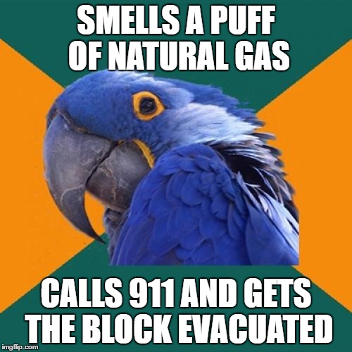 Paranoid Parrot Meme | SMELLS A PUFF OF NATURAL GAS; CALLS 911 AND GETS THE BLOCK EVACUATED | image tagged in memes,paranoid parrot | made w/ Imgflip meme maker