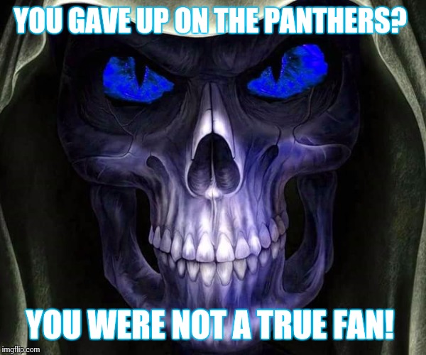 YOU GAVE UP ON THE PANTHERS? YOU WERE NOT A TRUE FAN! | image tagged in carolina panthers | made w/ Imgflip meme maker