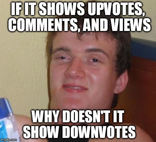 GIVE UP, TROLLS!!! | IF IT SHOWS UPVOTES, COMMENTS, AND VIEWS; WHY DOESN'T IT SHOW DOWNVOTES | image tagged in memes,10 guy | made w/ Imgflip meme maker