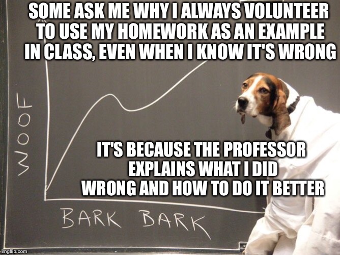 The embarrassment is worth the feedback and the stronger understanding of the material I gain. I do better on tests that way. | SOME ASK ME WHY I ALWAYS VOLUNTEER TO USE MY HOMEWORK AS AN EXAMPLE IN CLASS, EVEN WHEN I KNOW IT'S WRONG; IT'S BECAUSE THE PROFESSOR EXPLAINS WHAT I DID WRONG AND HOW TO DO IT BETTER | image tagged in dog student,homework,class,college,memes | made w/ Imgflip meme maker