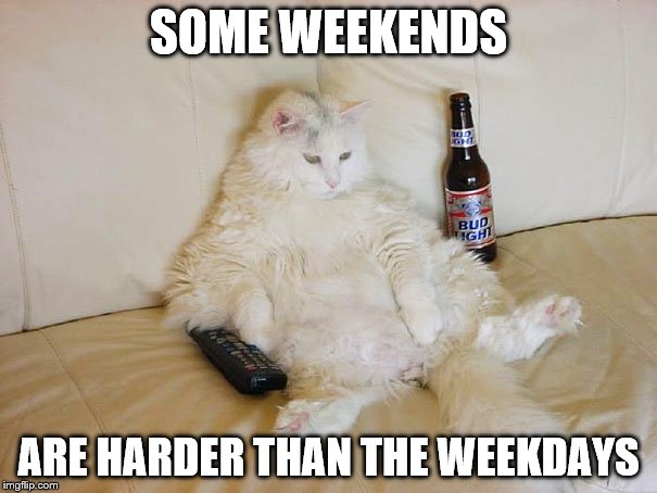 I'm worn out | SOME WEEKENDS; ARE HARDER THAN THE WEEKDAYS | image tagged in memes,tired cat | made w/ Imgflip meme maker