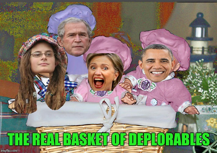 The deplorables | THE REAL BASKET OF DEPLORABLES | image tagged in memes | made w/ Imgflip meme maker