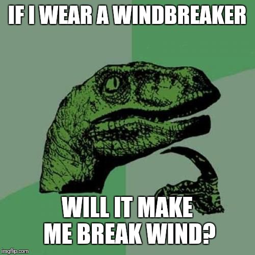 Philosoraptor Meme | IF I WEAR A WINDBREAKER; WILL IT MAKE ME BREAK WIND? | image tagged in memes,philosoraptor | made w/ Imgflip meme maker