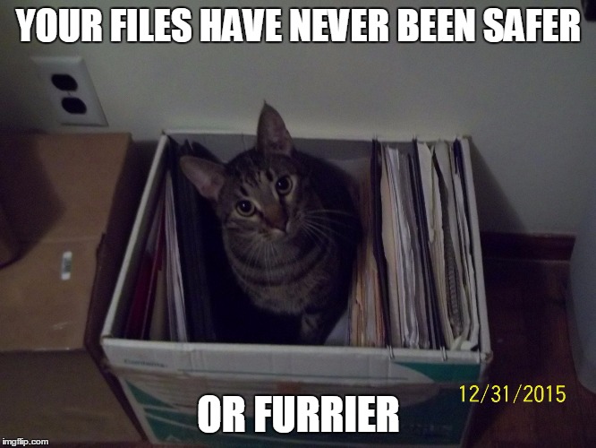 Secure Filing | YOUR FILES HAVE NEVER BEEN SAFER; OR FURRIER | image tagged in cat filing assistant | made w/ Imgflip meme maker