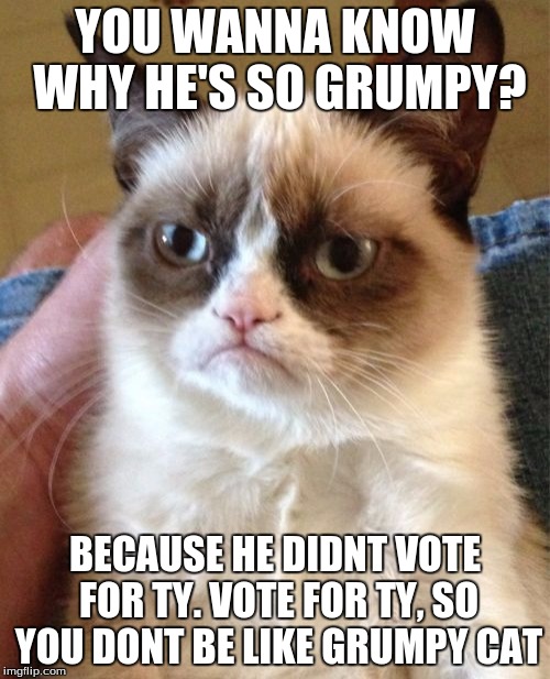 Grumpy Cat | YOU WANNA KNOW WHY HE'S SO GRUMPY? BECAUSE HE DIDNT VOTE FOR TY. VOTE FOR TY, SO YOU DONT BE LIKE GRUMPY CAT | image tagged in memes,grumpy cat | made w/ Imgflip meme maker