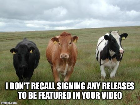 I DON'T RECALL SIGNING ANY RELEASES TO BE FEATURED IN YOUR VIDEO | made w/ Imgflip meme maker