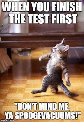 Cool Cat Stroll | WHEN YOU FINISH THE TEST FIRST; "DON'T MIND ME, YA SPOOGEVACUUMS!" | image tagged in memes,cool cat stroll | made w/ Imgflip meme maker