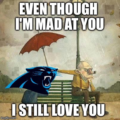 EVEN THOUGH I'M MAD AT YOU; I STILL LOVE YOU | image tagged in carolina panthers | made w/ Imgflip meme maker
