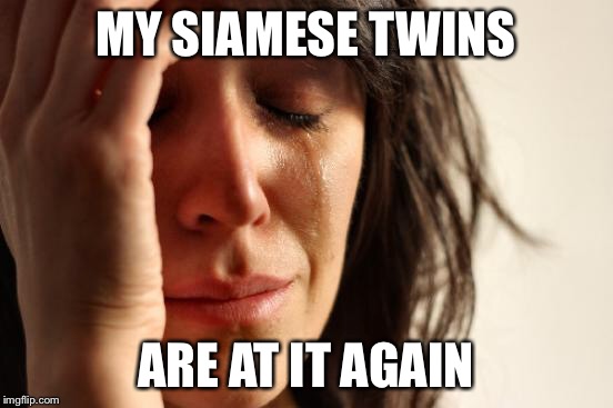 First World Problems Meme | MY SIAMESE TWINS ARE AT IT AGAIN | image tagged in memes,first world problems | made w/ Imgflip meme maker