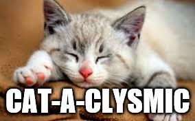 CAT-A-CLYSMIC | made w/ Imgflip meme maker