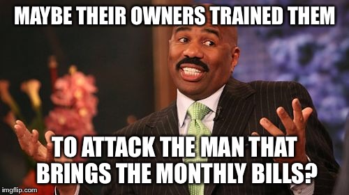 Steve Harvey Meme | MAYBE THEIR OWNERS TRAINED THEM TO ATTACK THE MAN THAT BRINGS THE MONTHLY BILLS? | image tagged in memes,steve harvey | made w/ Imgflip meme maker