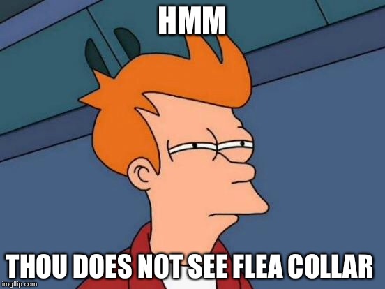 Futurama Fry Meme | HMM THOU DOES NOT SEE FLEA COLLAR | image tagged in memes,futurama fry | made w/ Imgflip meme maker