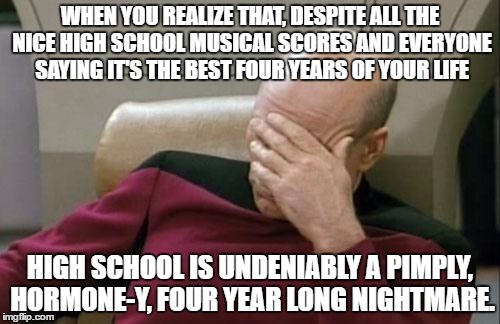 Who's with me?! ...Nobody? Was I the only one who had a bad high school experience? | WHEN YOU REALIZE THAT, DESPITE ALL THE NICE HIGH SCHOOL MUSICAL SCORES AND EVERYONE SAYING IT'S THE BEST FOUR YEARS OF YOUR LIFE; HIGH SCHOOL IS UNDENIABLY A PIMPLY, HORMONE-Y, FOUR YEAR LONG NIGHTMARE. | image tagged in memes,captain picard facepalm,high school | made w/ Imgflip meme maker