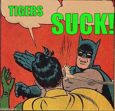 Batman Slapping Robin Meme | TIGERS SUCK! | image tagged in memes,batman slapping robin | made w/ Imgflip meme maker