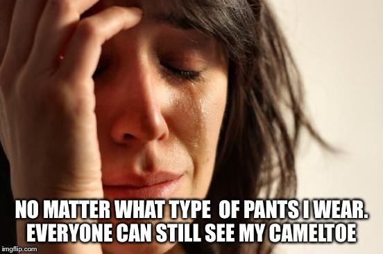 First World Problems | NO MATTER WHAT TYPE  OF PANTS I WEAR. EVERYONE CAN STILL SEE MY CAMELTOE | image tagged in memes,first world problems | made w/ Imgflip meme maker