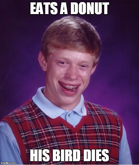 Bad Luck Brian Meme | EATS A DONUT HIS BIRD DIES | image tagged in memes,bad luck brian | made w/ Imgflip meme maker