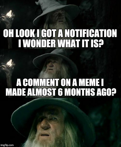 Oh look a notification! | OH LOOK I GOT A NOTIFICATION I WONDER WHAT IT IS? A COMMENT ON A MEME I MADE ALMOST 6 MONTHS AGO? | image tagged in memes,confused gandalf | made w/ Imgflip meme maker