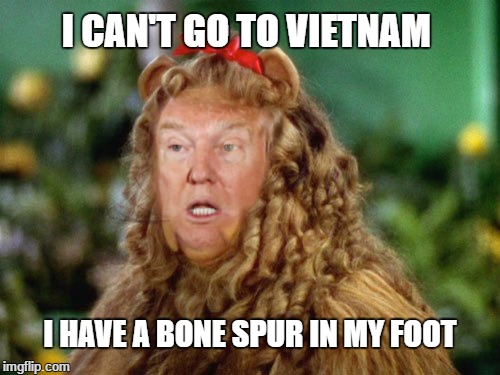 Cowardly Lyin'  | I CAN'T GO TO VIETNAM; I HAVE A BONE SPUR IN MY FOOT | image tagged in cowardly lion | made w/ Imgflip meme maker