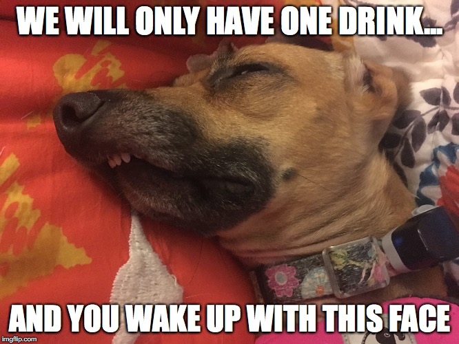 Drunk Face | WE WILL ONLY HAVE ONE DRINK... AND YOU WAKE UP WITH THIS FACE | image tagged in drunk dog,you're drunk,go home youre drunk,you were so drunk last night | made w/ Imgflip meme maker