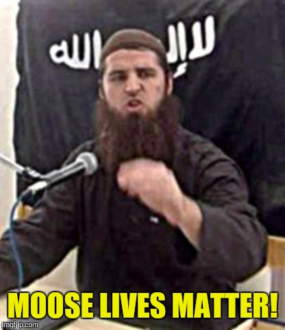 Not a word was mentioned about squirrels | MOOSE LIVES MATTER! | image tagged in jumping jihad,perfectly timed picture,moose | made w/ Imgflip meme maker