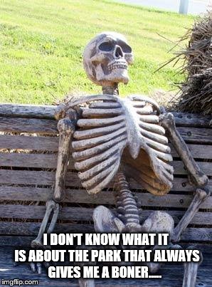 Waiting Skeleton | I DON'T KNOW WHAT IT IS ABOUT THE PARK THAT ALWAYS GIVES ME A BONER..... | image tagged in memes,waiting skeleton | made w/ Imgflip meme maker