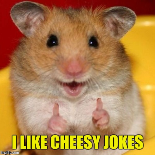 Two Thumbs Up | I LIKE CHEESY JOKES | image tagged in two thumbs up | made w/ Imgflip meme maker