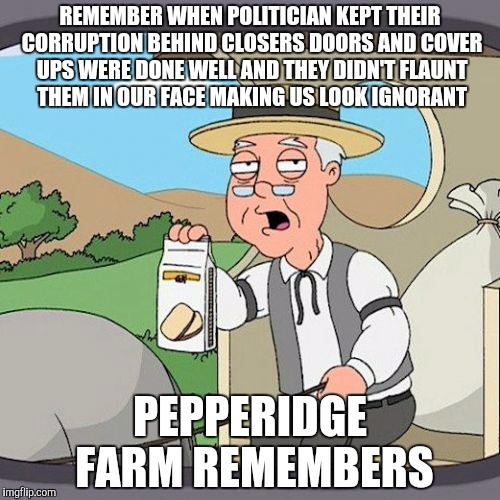 Pepperidge Farm Remembers | REMEMBER WHEN POLITICIAN KEPT THEIR CORRUPTION BEHIND CLOSERS DOORS AND COVER UPS WERE DONE WELL AND THEY DIDN'T FLAUNT THEM IN OUR FACE MAKING US LOOK IGNORANT; PEPPERIDGE FARM REMEMBERS | image tagged in memes,pepperidge farm remembers | made w/ Imgflip meme maker