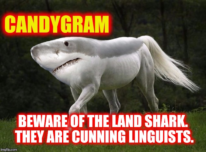 BEWARE OF THE LAND SHARK. THEY ARE CUNNING LINGUISTS. | made w/ Imgflip meme maker
