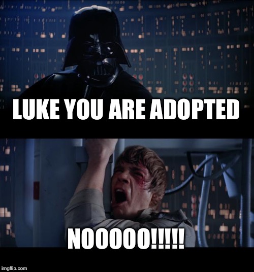 Star Wars No Meme | LUKE YOU ARE ADOPTED; NOOOOO!!!!! | image tagged in memes,star wars no | made w/ Imgflip meme maker
