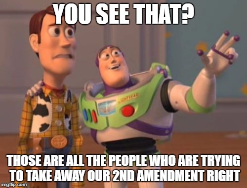 X, X Everywhere Meme | YOU SEE THAT? THOSE ARE ALL THE PEOPLE WHO ARE TRYING TO TAKE AWAY OUR 2ND AMENDMENT RIGHT | image tagged in memes,x x everywhere | made w/ Imgflip meme maker