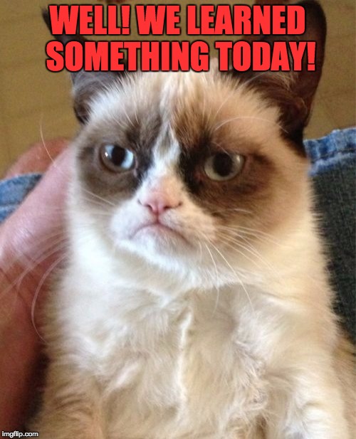 Grumpy Cat Meme | WELL! WE LEARNED SOMETHING TODAY! | image tagged in memes,grumpy cat | made w/ Imgflip meme maker
