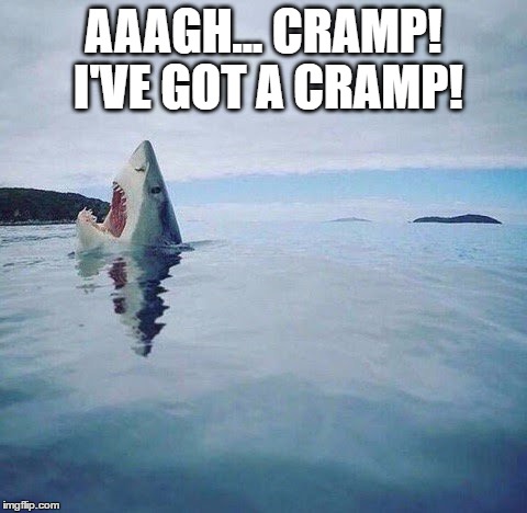 shark_head_out_of_water | AAAGH... CRAMP! I'VE GOT A CRAMP! | image tagged in shark_head_out_of_water,meme | made w/ Imgflip meme maker