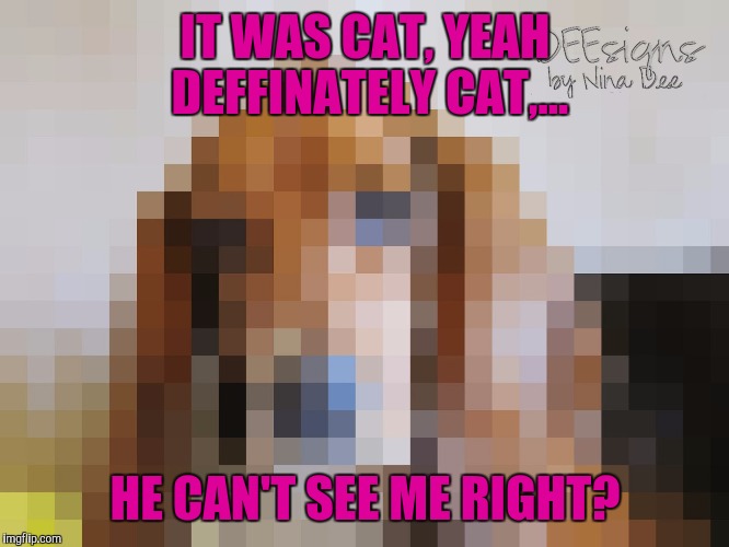 Witless protection | IT WAS CAT, YEAH DEFFINATELY CAT,... HE CAN'T SEE ME RIGHT? | image tagged in sewmyeyesshut,funny memes,pixel dog,it was the cat | made w/ Imgflip meme maker