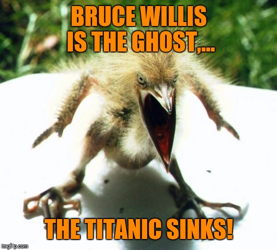 Unpleasant Bird | BRUCE WILLIS IS THE GHOST,... THE TITANIC SINKS! | image tagged in unpleasant bird | made w/ Imgflip meme maker