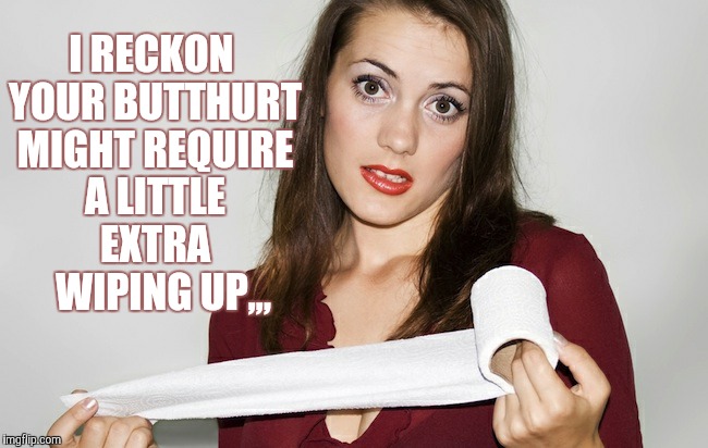 I RECKON YOUR BUTTHURT MIGHT REQUIRE A LITTLE EXTRA   WIPING UP,,, | image tagged in meme | made w/ Imgflip meme maker