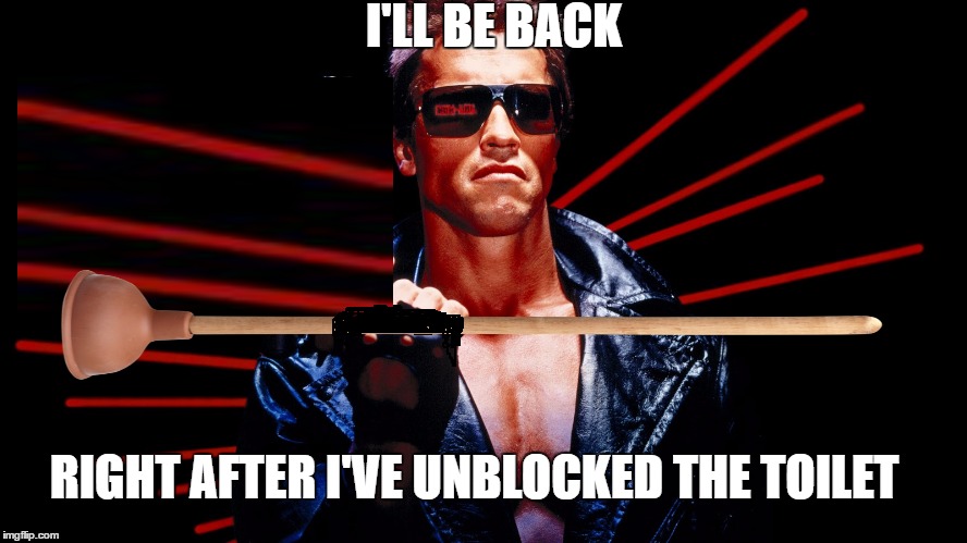 I'll Be Back | I'LL BE BACK; RIGHT AFTER I'VE UNBLOCKED THE TOILET | image tagged in memes,terminator | made w/ Imgflip meme maker