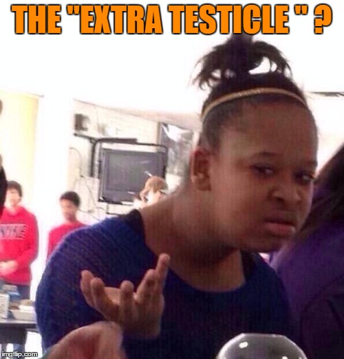 Black Girl Wat Meme | THE "EXTRA TESTICLE " ? | image tagged in memes,black girl wat | made w/ Imgflip meme maker
