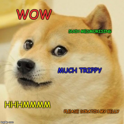 Doge Meme | WOW SUCH MESMORISING MUCH TRIPPY HHHMMMM PLEASE SCRATCH MY BELLY | image tagged in memes,doge | made w/ Imgflip meme maker