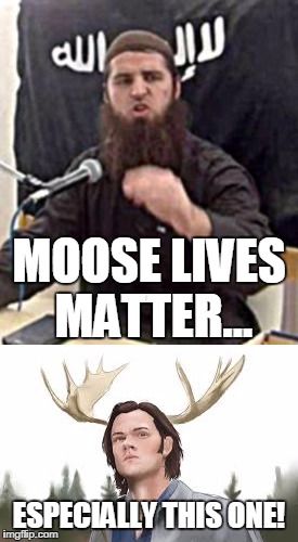 MOOSE LIVES MATTER... ESPECIALLY THIS ONE! | made w/ Imgflip meme maker