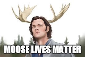 MOOSE LIVES MATTER | image tagged in moose lives matter | made w/ Imgflip meme maker