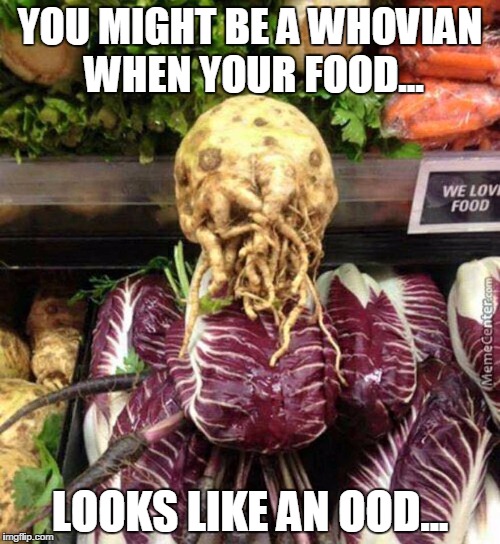 YOU MIGHT BE A WHOVIAN WHEN YOUR FOOD... LOOKS LIKE AN OOD... | image tagged in ood food | made w/ Imgflip meme maker