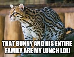 THAT BUNNY AND HIS ENTIRE FAMILY ARE MY LUNCH LOL! | image tagged in osly lot | made w/ Imgflip meme maker