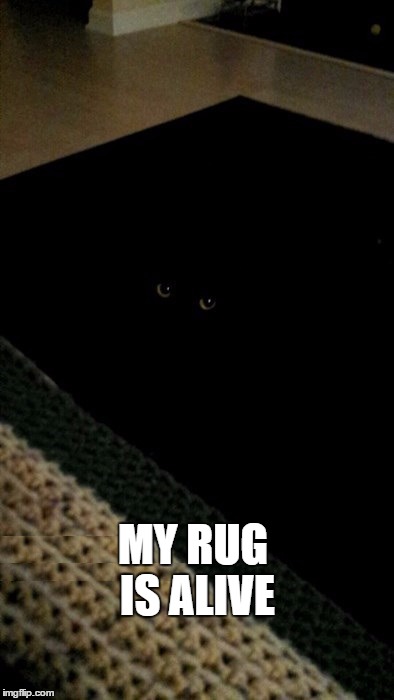My rug is alive | MY RUG IS ALIVE | image tagged in rug with eyes,black cat on black rug,my rug is alive | made w/ Imgflip meme maker