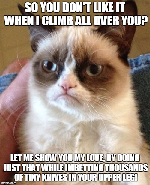 Grumpy Cat | SO YOU DON'T LIKE IT WHEN I CLIMB ALL OVER YOU? LET ME SHOW YOU MY LOVE, BY DOING JUST THAT WHILE IMBETTING THOUSANDS OF TINY KNIVES IN YOUR UPPER LEG! | image tagged in memes,grumpy cat | made w/ Imgflip meme maker