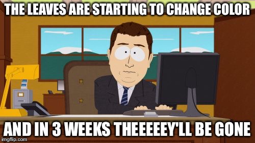 Aaaaand Its Gone Meme | THE LEAVES ARE STARTING TO CHANGE COLOR; AND IN 3 WEEKS THEEEEEY'LL BE GONE | image tagged in memes,aaaaand its gone | made w/ Imgflip meme maker